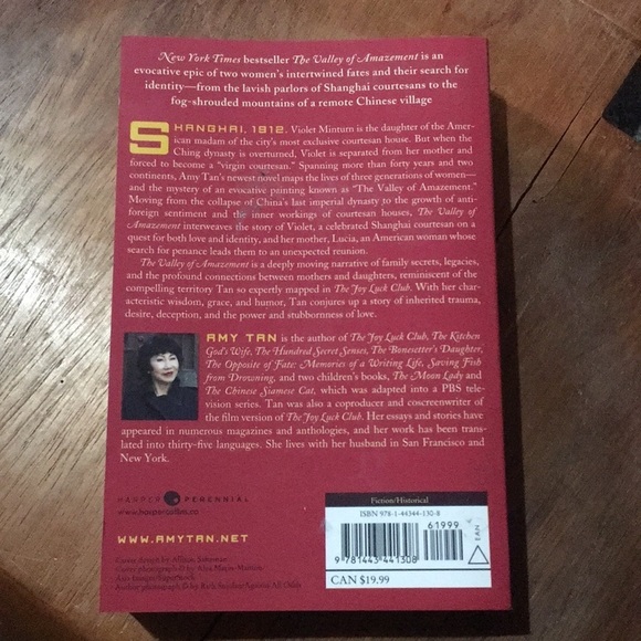 The valley of amazement novel by Amy Tan books - Picture 6 of 8